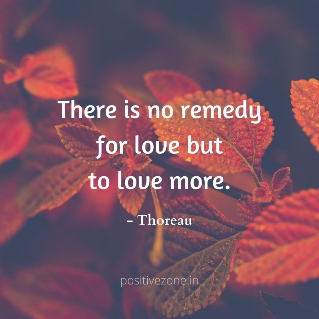 Quotes on Love and Relationship
